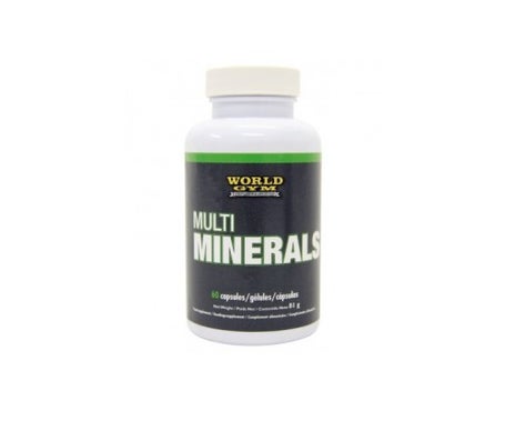 world gym multi minerals 60c ps