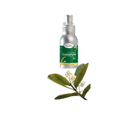 le comptoir aroma aceite vegetal org nico calophylle visage amp corps 50ml