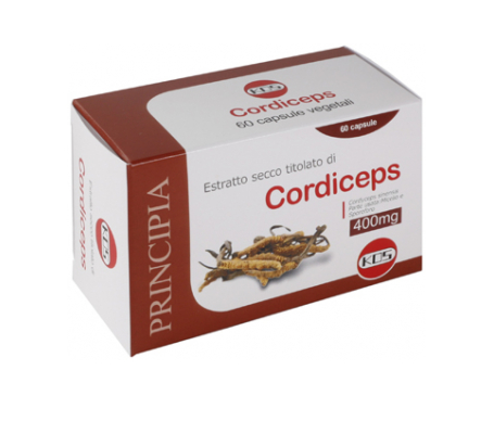 extracto seco cordiceps 60cps